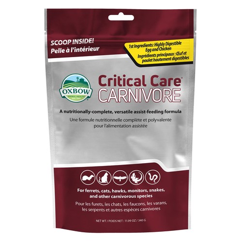 Oxbow critical care carnivore - oxbow,